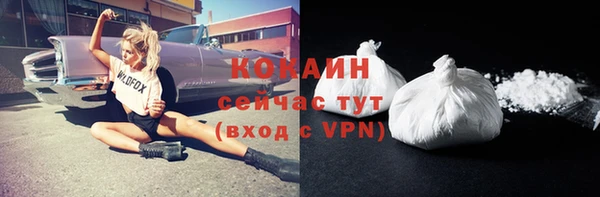 mdpv Богданович