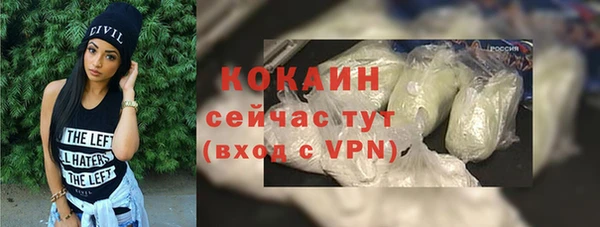 прущий лед Богородицк