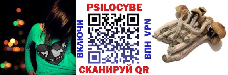 Купить  Невель  Галлюциногенные грибы Cubensis 