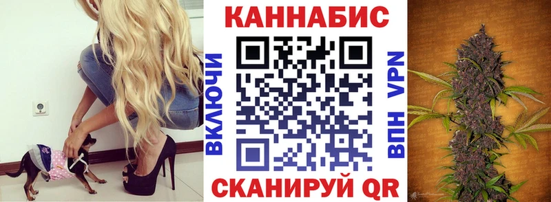 Купить где  Невель  Марихуана MAZAR 